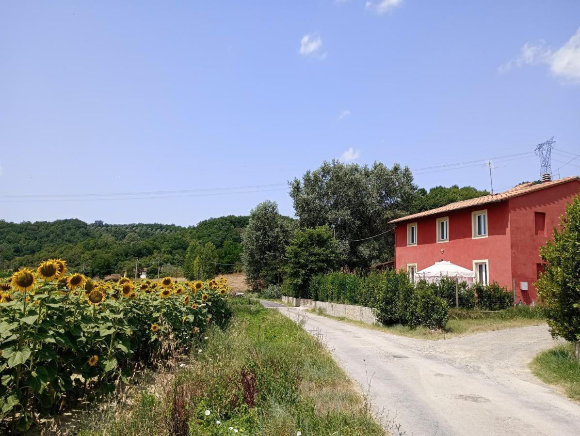 La Casa Rossa Bed and Breakfast Coiano Exteriör bild