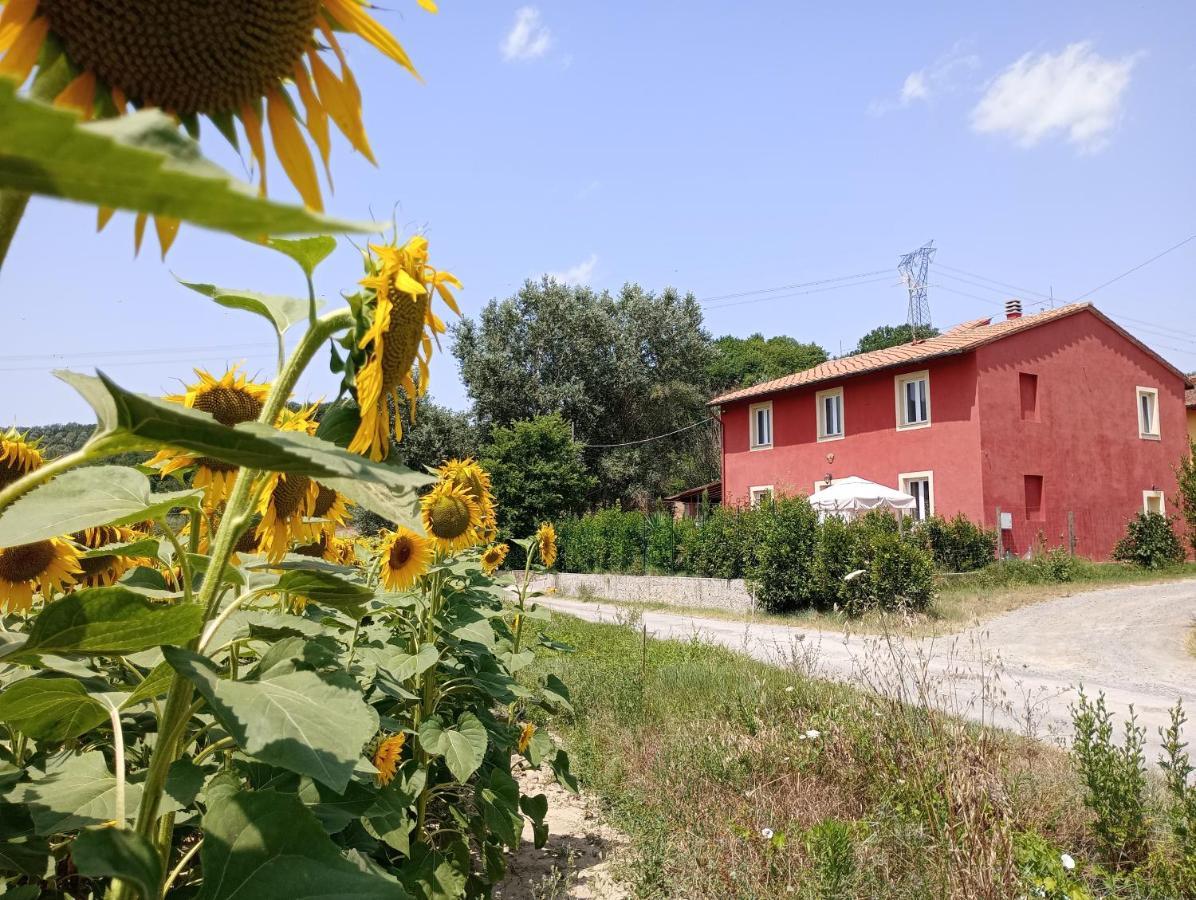 La Casa Rossa Bed and Breakfast Coiano Exteriör bild